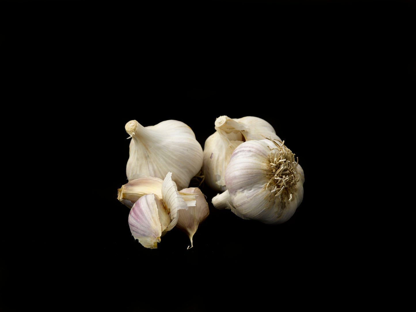 Freshly Cured Culinary Gourmet Garlic (Chesnok Red, Music, Georgian Crystal, Inchelium Red)