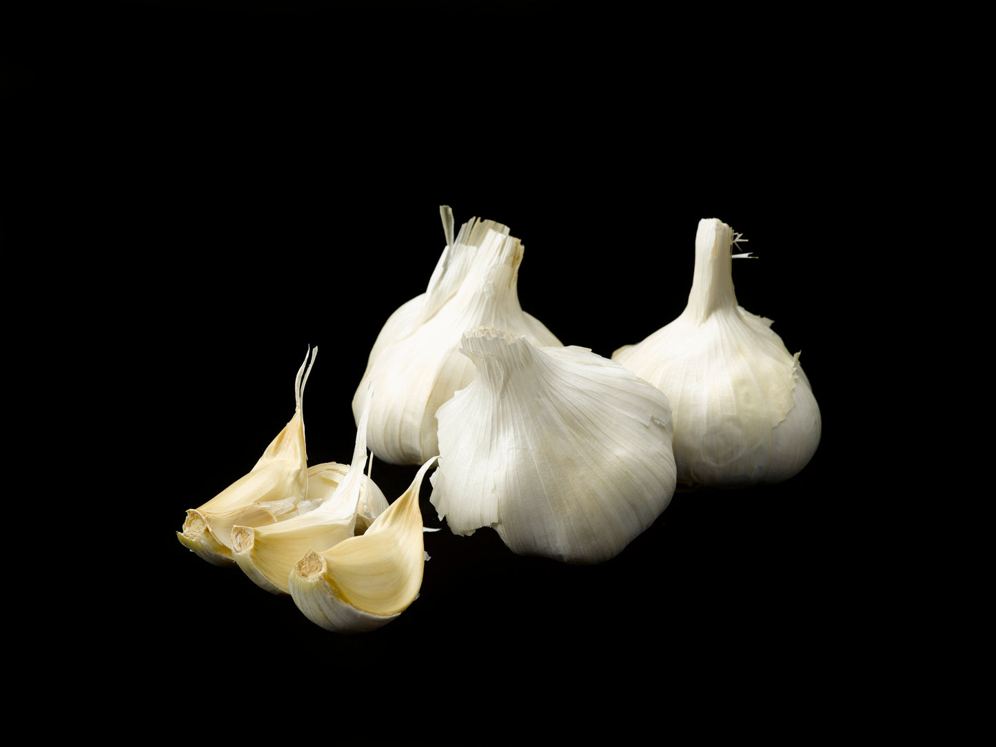 Freshly Cured Culinary Gourmet Garlic (Chesnok Red, Music, Georgian Crystal, Inchelium Red)