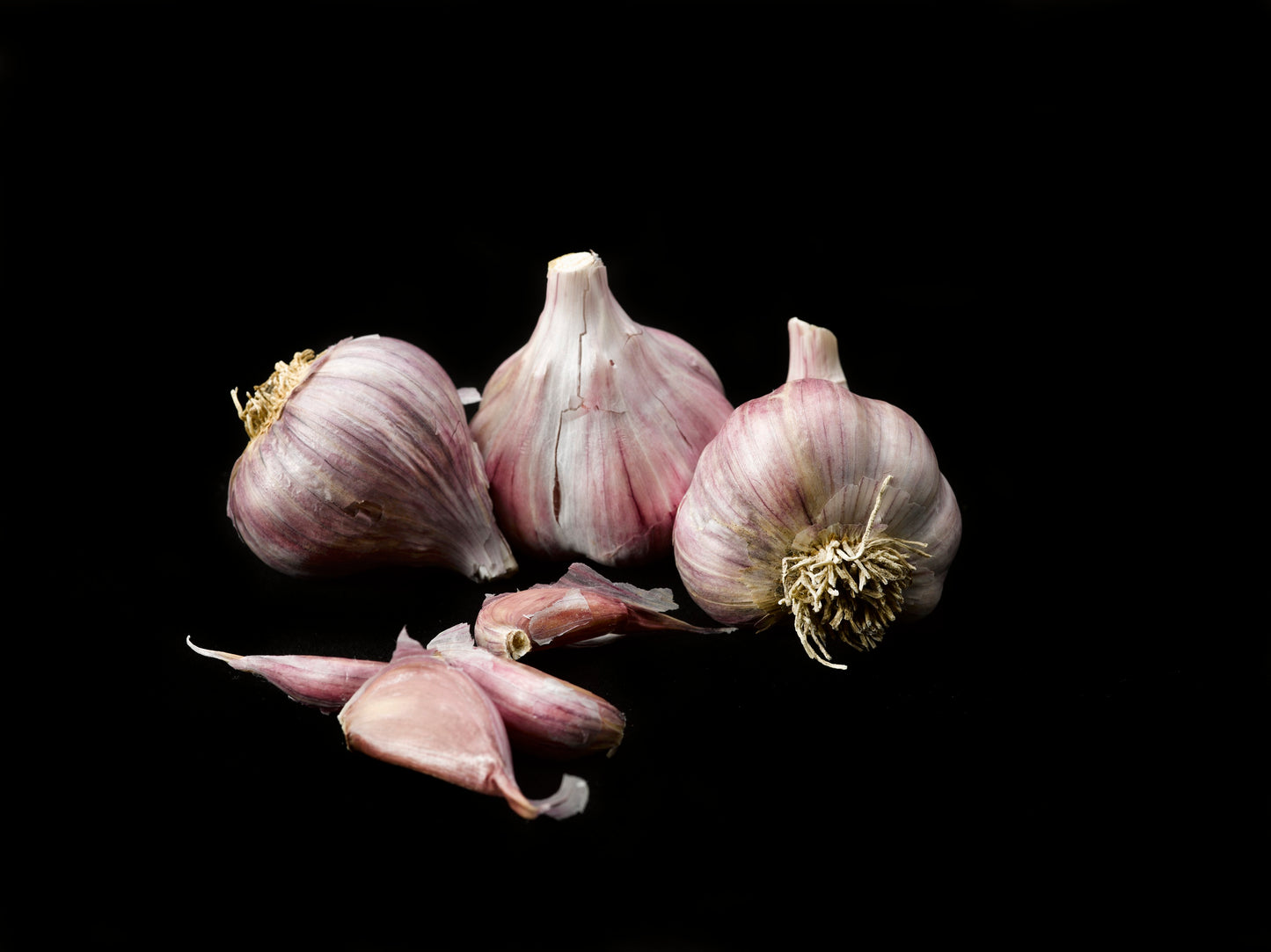 Freshly Cured Culinary Gourmet Garlic (Chesnok Red, Music, Georgian Crystal, Inchelium Red)