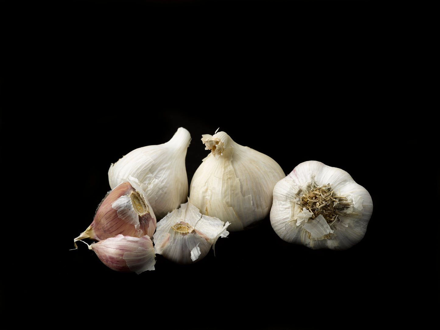 Freshly Cured Culinary Gourmet Garlic (Chesnok Red, Music, Georgian Crystal, Inchelium Red)